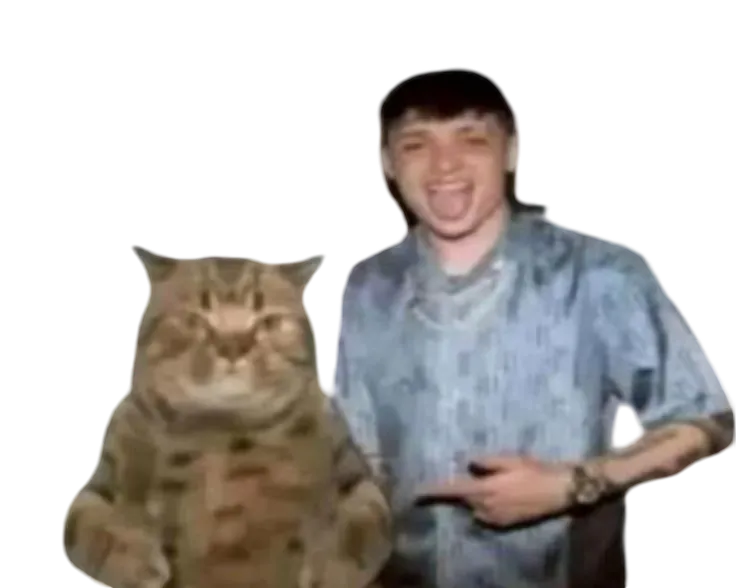 gatito con peso pluma